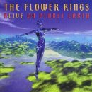 The Flower Kings: Alive On Planet Earth
