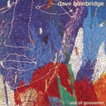 Dave Bainbridge: Veil of Gossamer