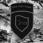 Review: Vreid - Pitch Black Brigade