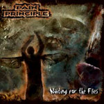 Review: Pain Principle - Waiting For Flies