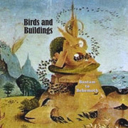 Birds And Buildings: Bantam To Behemoth