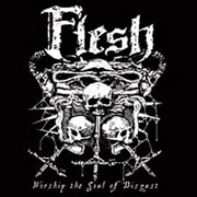 Review: Flesh - Worship The Soul of Disgust
