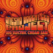 Review: Onesko Bogert Ceo Project - Big Electric Cream Jam