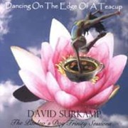 Review: David Surkamp - Dancing On The Edge Of A Teacup