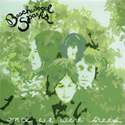 Beachwood Sparks: Once We Were Trees