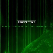 Prospective: Perfect Evolution Of Humanity