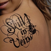 DVD/Blu-ray-Review: Skill In Veins - Skill In Veins