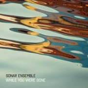 Sonar Ensemble: While You Were Gone