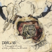 Perlaine: A Journey Into the Inside of Things Just Known From the Outside