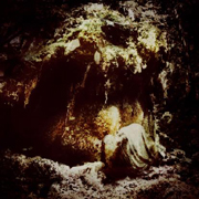 Wolves In The Throne Room: Celestial Lineage