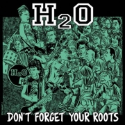 Review: H2O - Don‘t Forget Your Roots