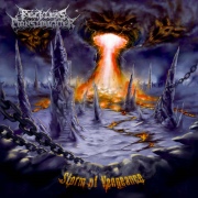 Review: Reckless Manslaughter - Storm Of Vengeance