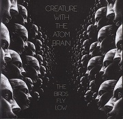 Creature With The Atom Brain: The Birds Fly Low