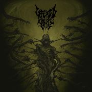 DVD/Blu-ray-Review: Defeated Sanity - Passages Into Deformity