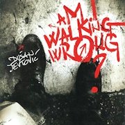 DVD/Blu-ray-Review: Dusan Jevtovic - Am I Walking Wrong?