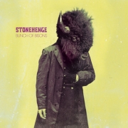 Stonehenge: Bunch Of Bisons