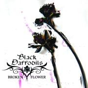 Black Daffodils: Broken Flower