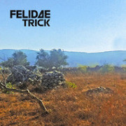 Review: Felidae Trick - Patrimony