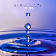 Review: Robert Reed - Sanctuary