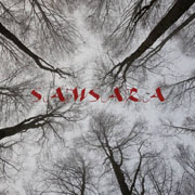 DVD/Blu-ray-Review: Danijel Zambo - Samsara