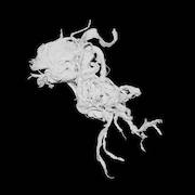 Review: Light Damage - Light Damage