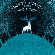 Review: Aican - Don't Go Deep Into The Forest