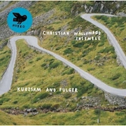 DVD/Blu-ray-Review: Christian Wallumrød - Kurzsam And Fulger