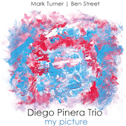 Diego Pinera Trio: My Picture