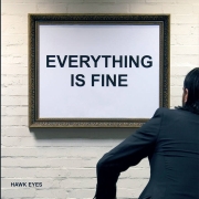 Hawk Eyes: Everything Is Fine