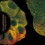 DVD/Blu-ray-Review: Palindrome - Strange Patterns