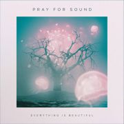 Pray For Sound: Everything Is Beautiful