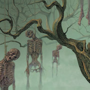DVD/Blu-ray-Review: Usurpress - The Regal Tribe