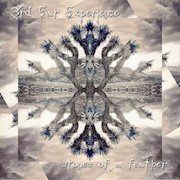 3rd Ear Experience: Stones Of A Feather