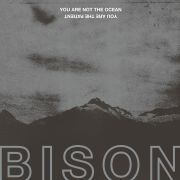 Bison: You Are Not The Ocean You Are The Patient