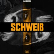 Review: Haudegen - Schweiß