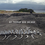 Review: Lost World Band - Of Things And Beings