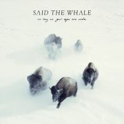 Said The Whale: As Long As Your Eyes Are Wide