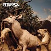 Interpol: Our Love To Admire - 10th Anniversary Special Edition