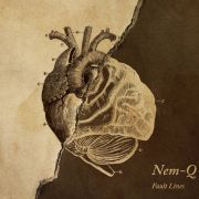 Review: Nem-Q - Fault Lines