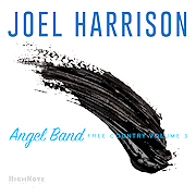 Joel Harrison: Angel Band – Free Country Volume 3