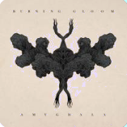 Burning Gloom: Amygdala