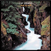 Cat Stevens: Back To Earth