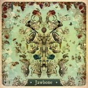 Review: Jawbone - Jawbone