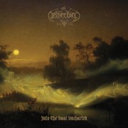 Review: Netherbird - Into The Vast Uncharted