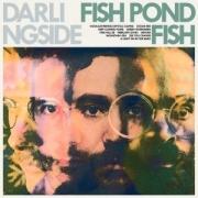 Review: Darlingside - Fish Pond Fish