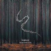 Lunatic Soul: Through Shaded Woods