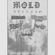 Mold Report: Ausgabe 1