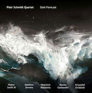 Piotr Schmidt Quartet: Dark Forecast - Limitiertes Doppel-Vinyl