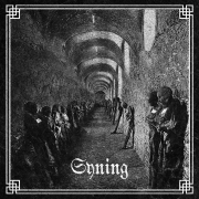 DVD/Blu-ray-Review: Syning - Syning