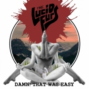 The Lucid Furs: Damn! That Was Easy